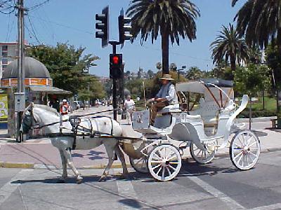 horse carriage: 