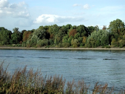 041003rhein: 