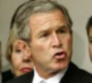 bushm: