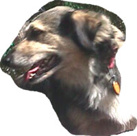 max: 