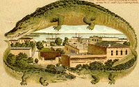 palatka: 